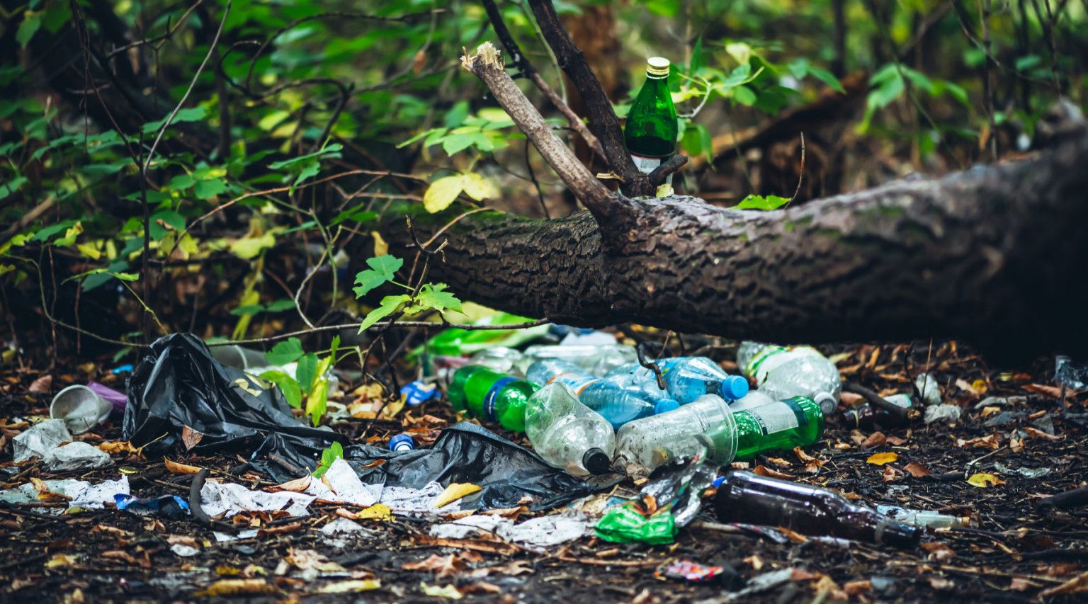 Operazione “Paladini del territorio”, raccolti oltre 350 sacchi di rifiuti nelle aree naturali