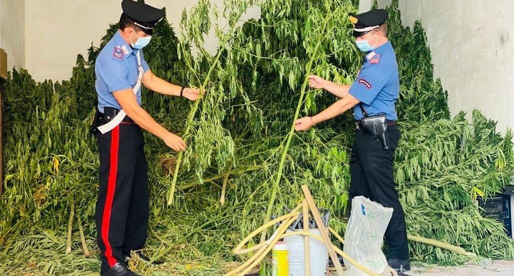 Allacci abusivi alla rete idrica nel Crotonese, scattano le denunce – FOTO