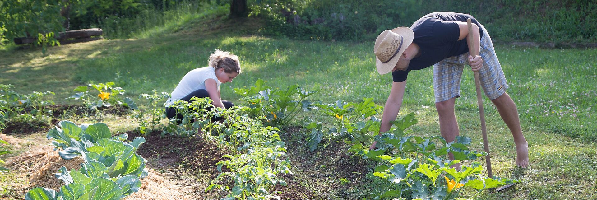 Proposta di legge “Agricoltura contadina”, Agrinsieme: «Necessario attento esame»