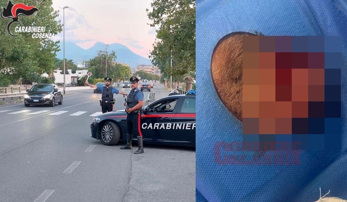 Santa Maria del Cedro, interrompe una festa e armato di machete ferisce due persone