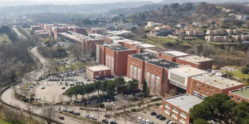 ponte unical da nord est