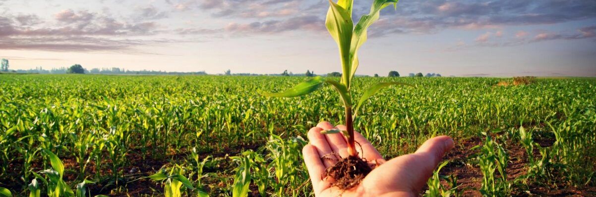 «Contrastare le fake news, impegno massimo degli agricoltori per l’ambiente»
