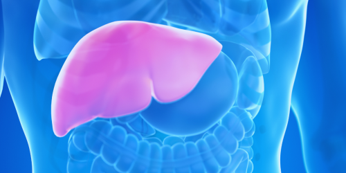 fegato_trapianto colpo di calore