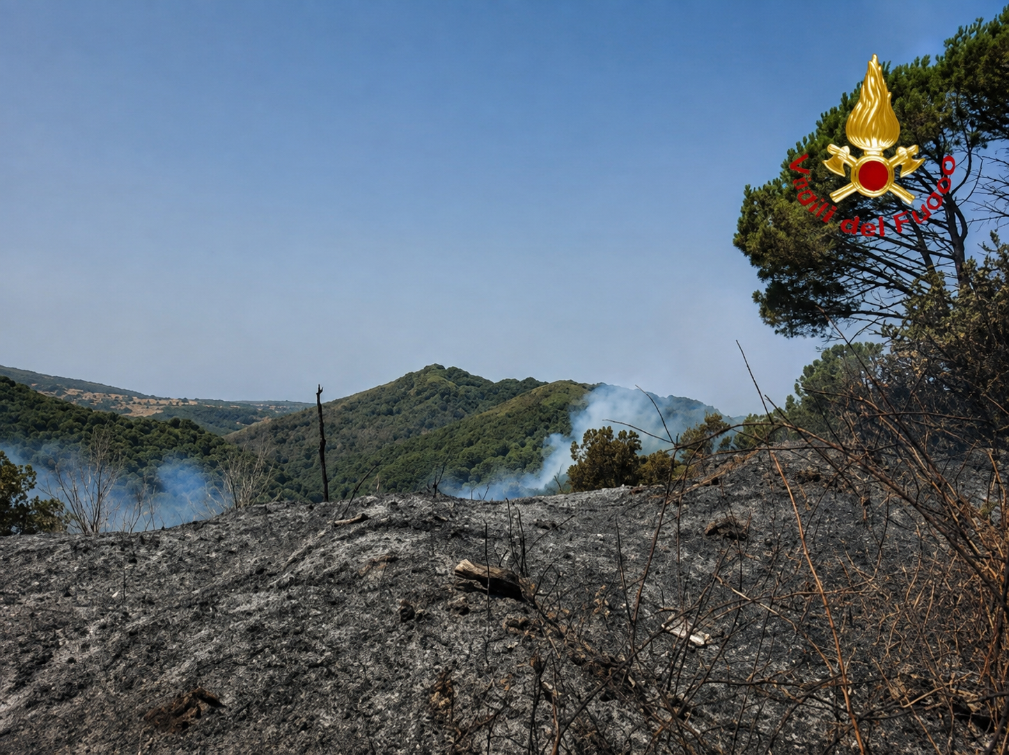 Caldo estremo e incendi, l’estate più difficile di Calabria Verde. Oliva: «Salvato un patrimonio prezioso»