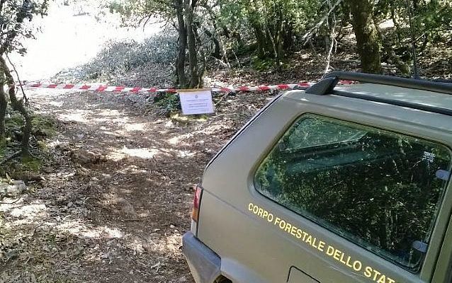 Truffa aggravata e abuso d'ufficio, sequestrato un bosco