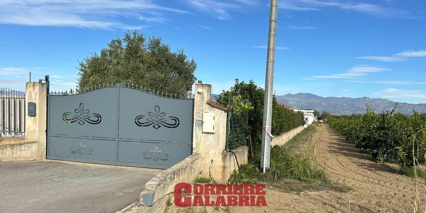 Il falso mito della ’ndrangheta che non spara più: la violenza strategica del silenzio