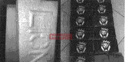 marchio lion cocaina