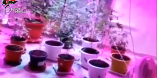 Il capo delle "nuove leve" di Cittanova: «Se trovo una pistola ammazzo i carabinieri» - NOMI