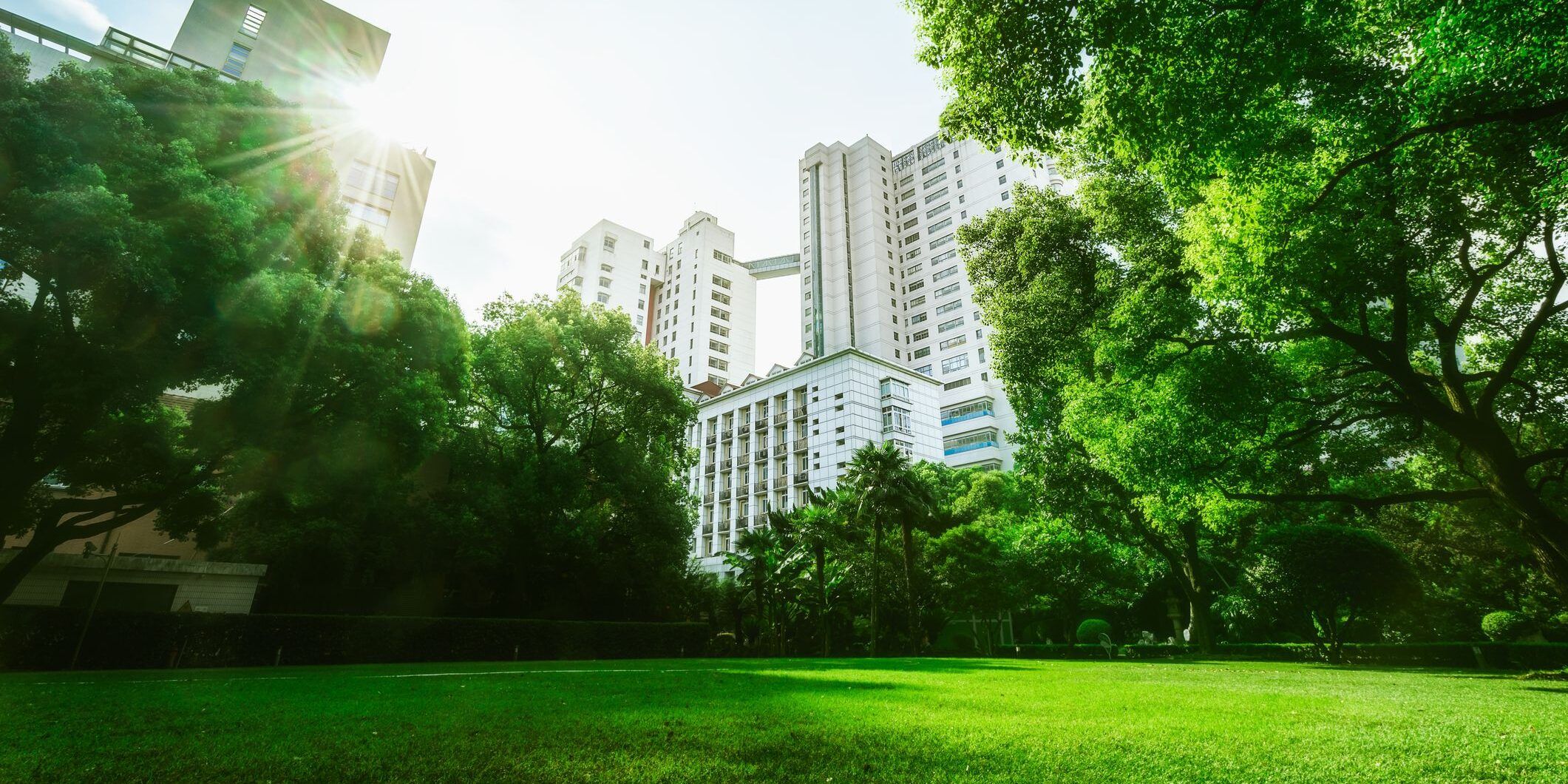 Città verdi: i vasi si confermano un evergreen per l’arredo urbano