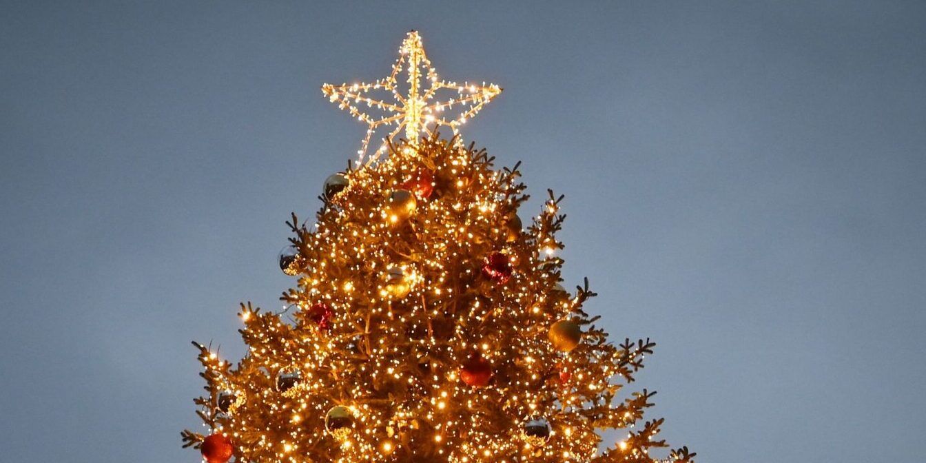 Vandalizzato l’albero di Natale realizzato a Vibo Marina.  Il fatto denunciato ai carabinieri