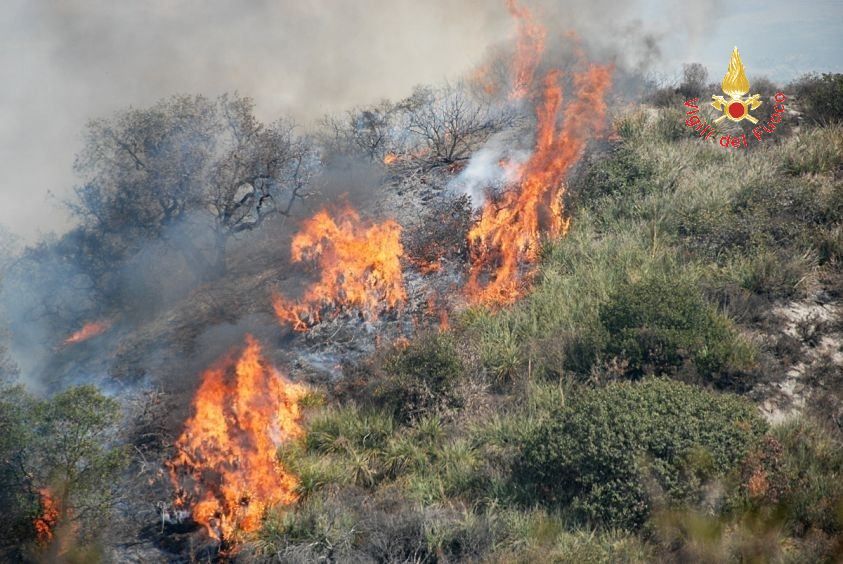 Paura ma nessun danno per l'incendio nelle campagne di Stalettì
