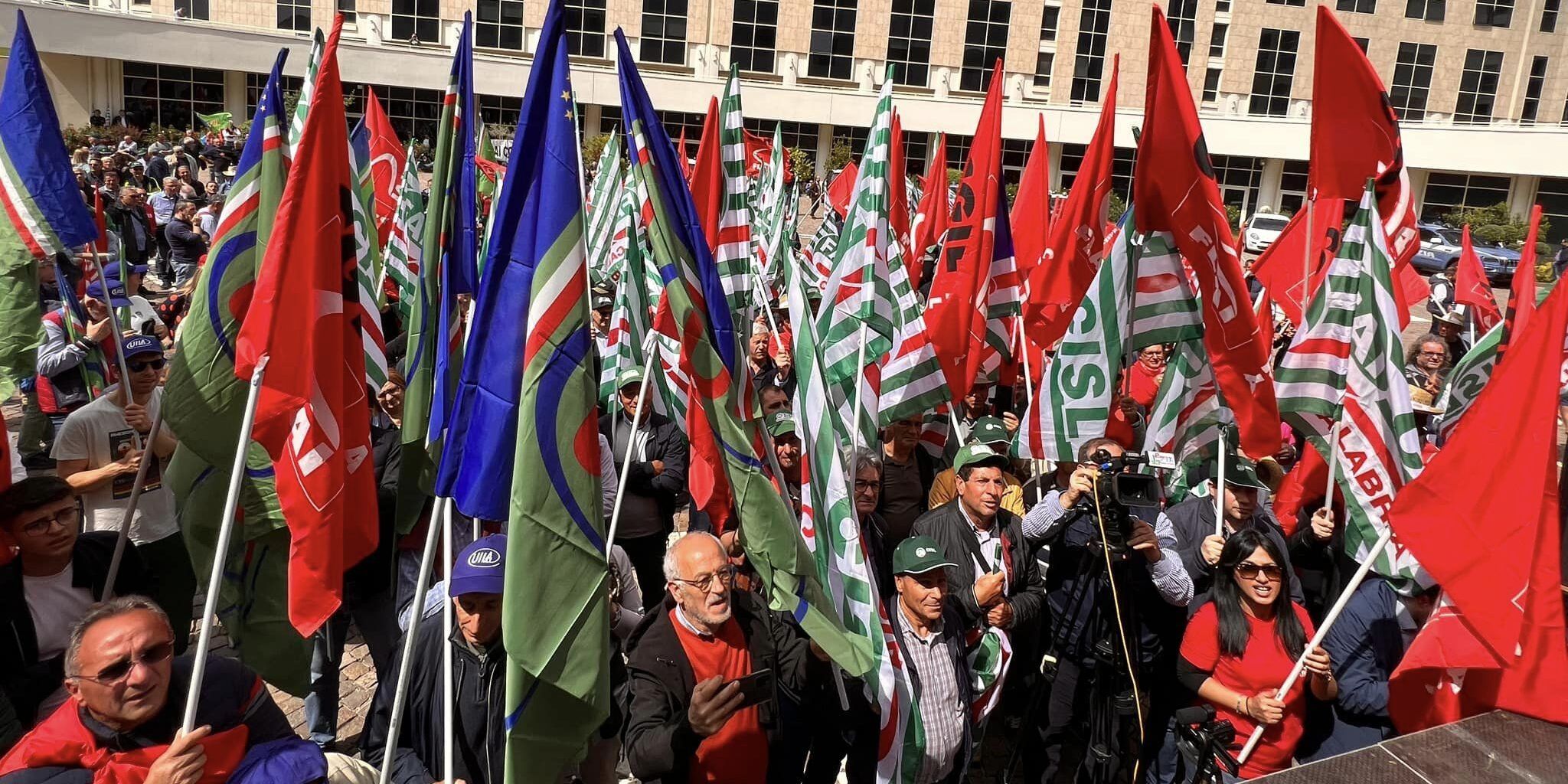 Rilancio della forestazione, il 5 giugno inizierà il confronto tra la Regione Calabria e i sindacati