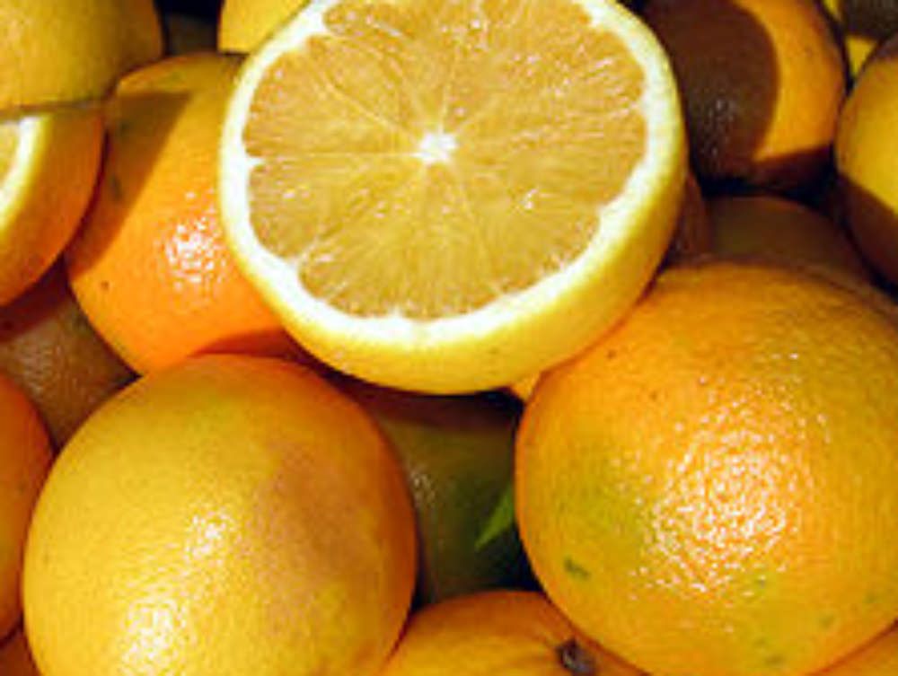 Agrumi malati dal Sudafrica Coldiretti: «Non siamo tranquilli»