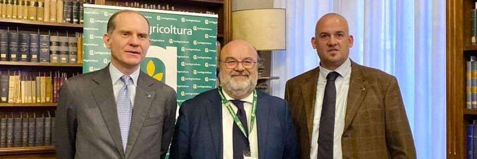 Olio Evo, accordo tra Confagricoltura e Unapol