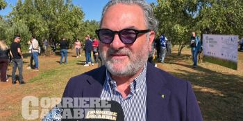 Olivicoltura, Statti: «Innovazione e qualità per rilanciare il settore» – VIDEO