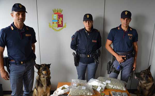 Cani poliziotto scoprono droga nella sua casa, in manette catanzarese