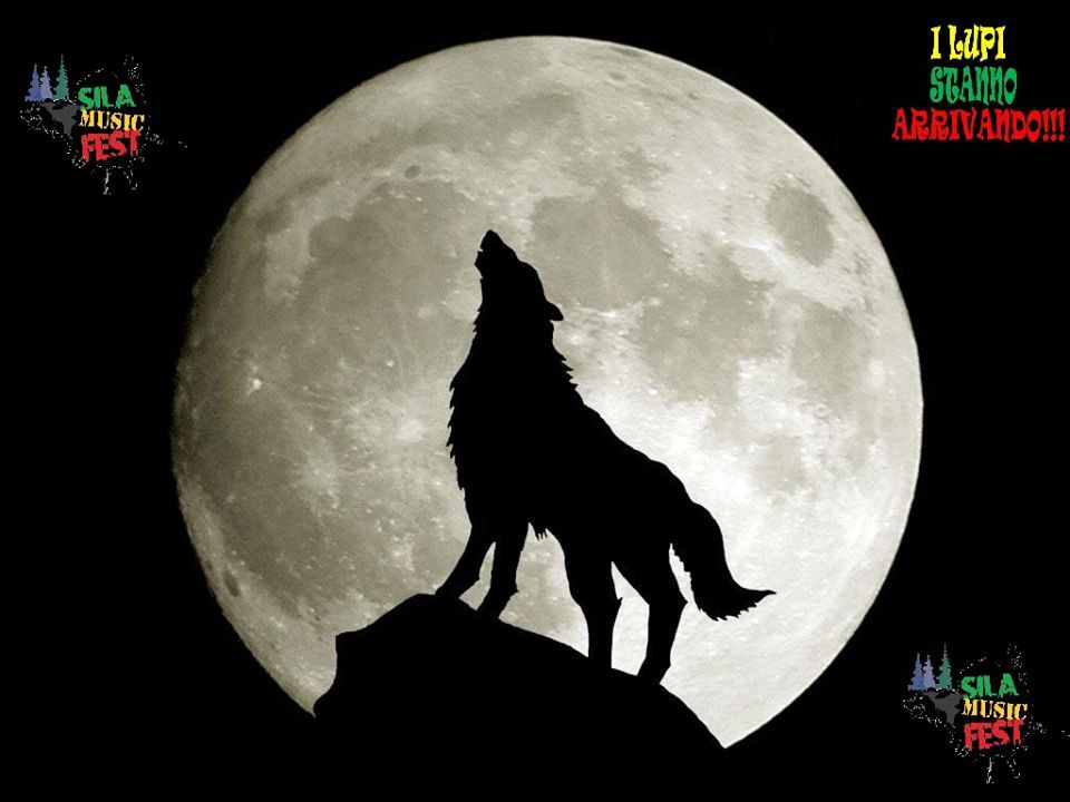 Cibo e reggae per il "Sila Music Fest"