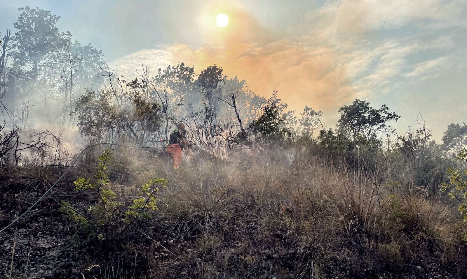 Calabria Verde e la lotta agli incendi, Oliva: «Stiamo utilizzando tutte le risorse che abbiamo»