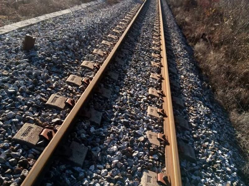 Animali travolti da un treno a Crotone, pastore denunciato