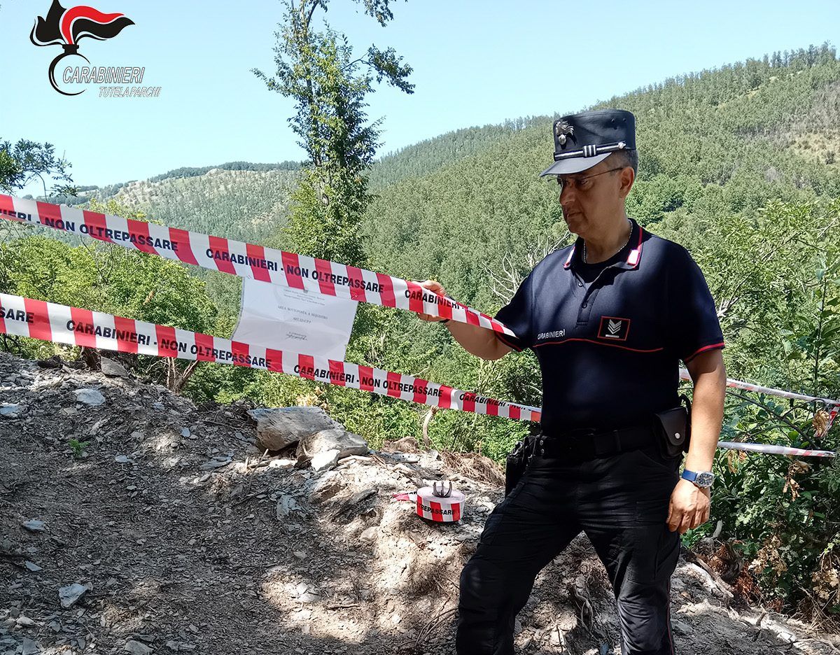 Parco del Pollino, taglio abusivo e pista illegale: denunciato titolare di una ditta boschiva