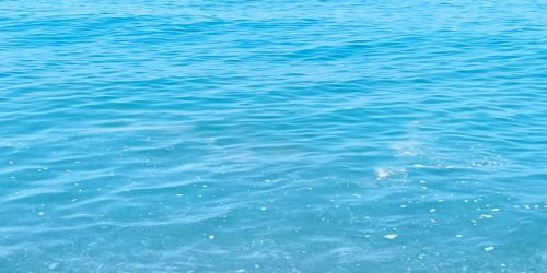 Mare sporco, ancora segnalazioni dal Tirreno