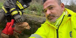 Anas e Vigili del Fuoco salvano il cane Giorgio durante i lavori sulla SS19 – VIDEO