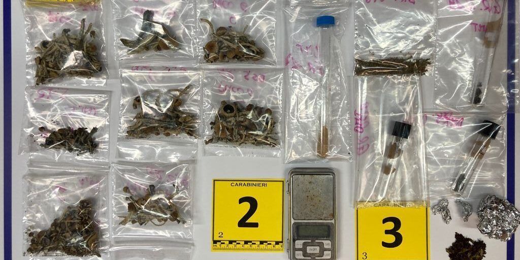Petrizzi, aveva un piccolo shop in casa di marijuana e ayahuasca da fumare: arrestato
