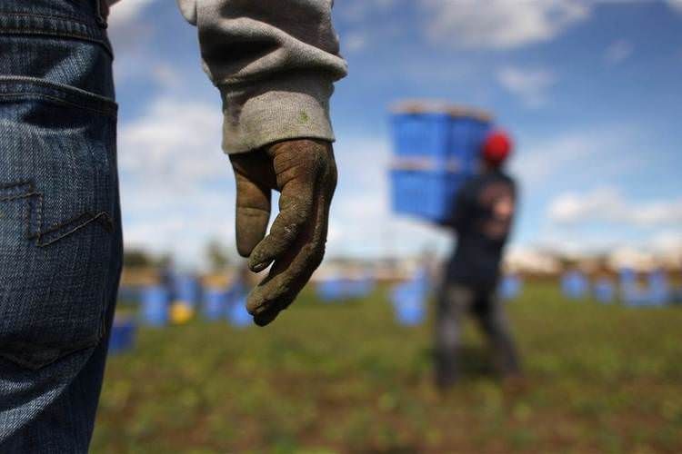 Calabria record per lavoratori in “nero”