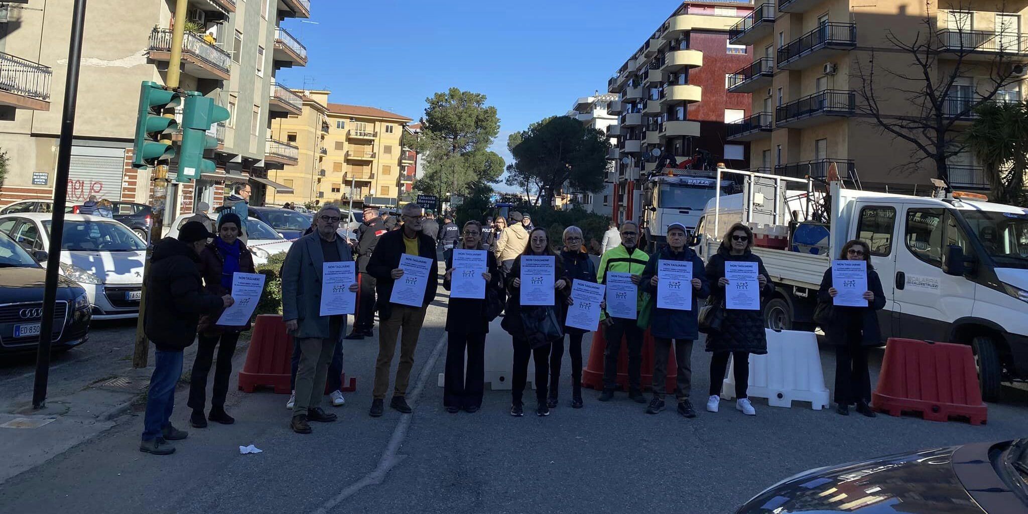 Taglio degli alberi a Rende, gli ambientalisti lanciano l’appello alla Prefettura