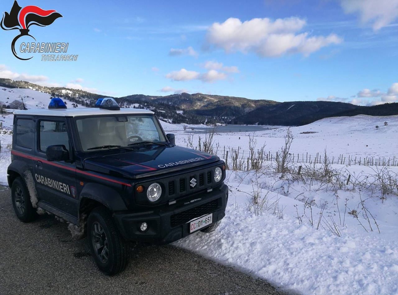 Parco Sila, undicimila controlli nel 2019