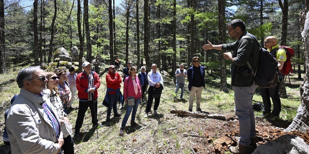 Sila Scienza e il futuro che manca: una nuova visione per la salute, la politica e il territorio