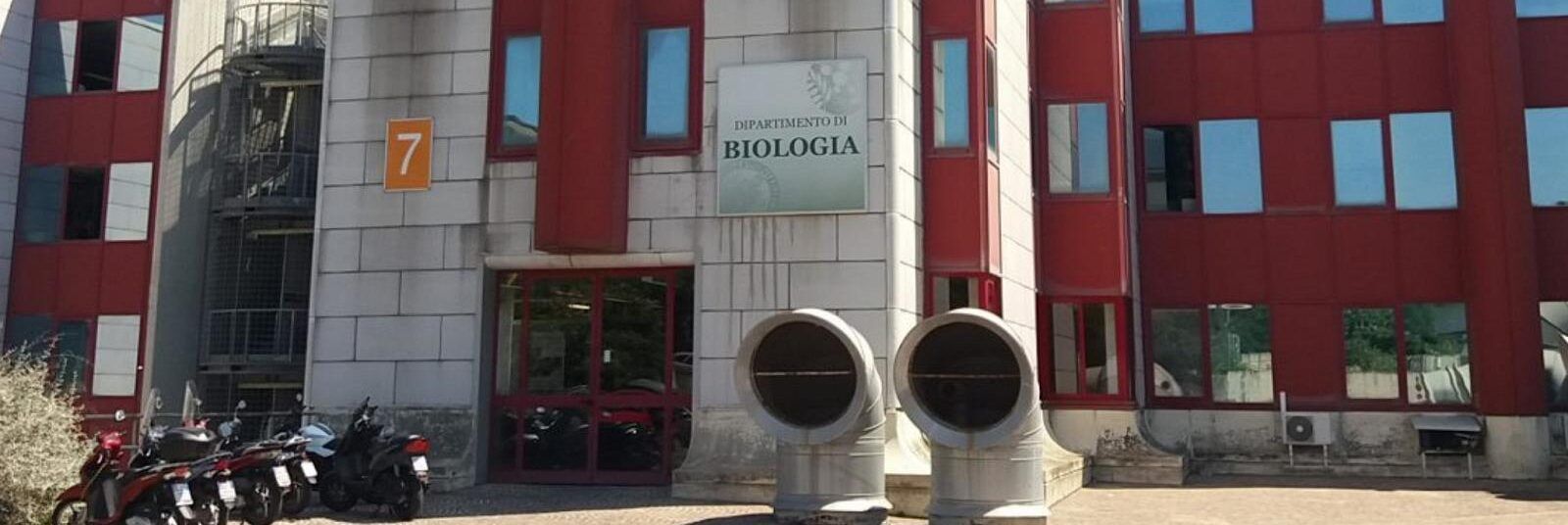 Abusi sessuali su studentesse, arrestato tecnico di laboratorio della “Federico II”