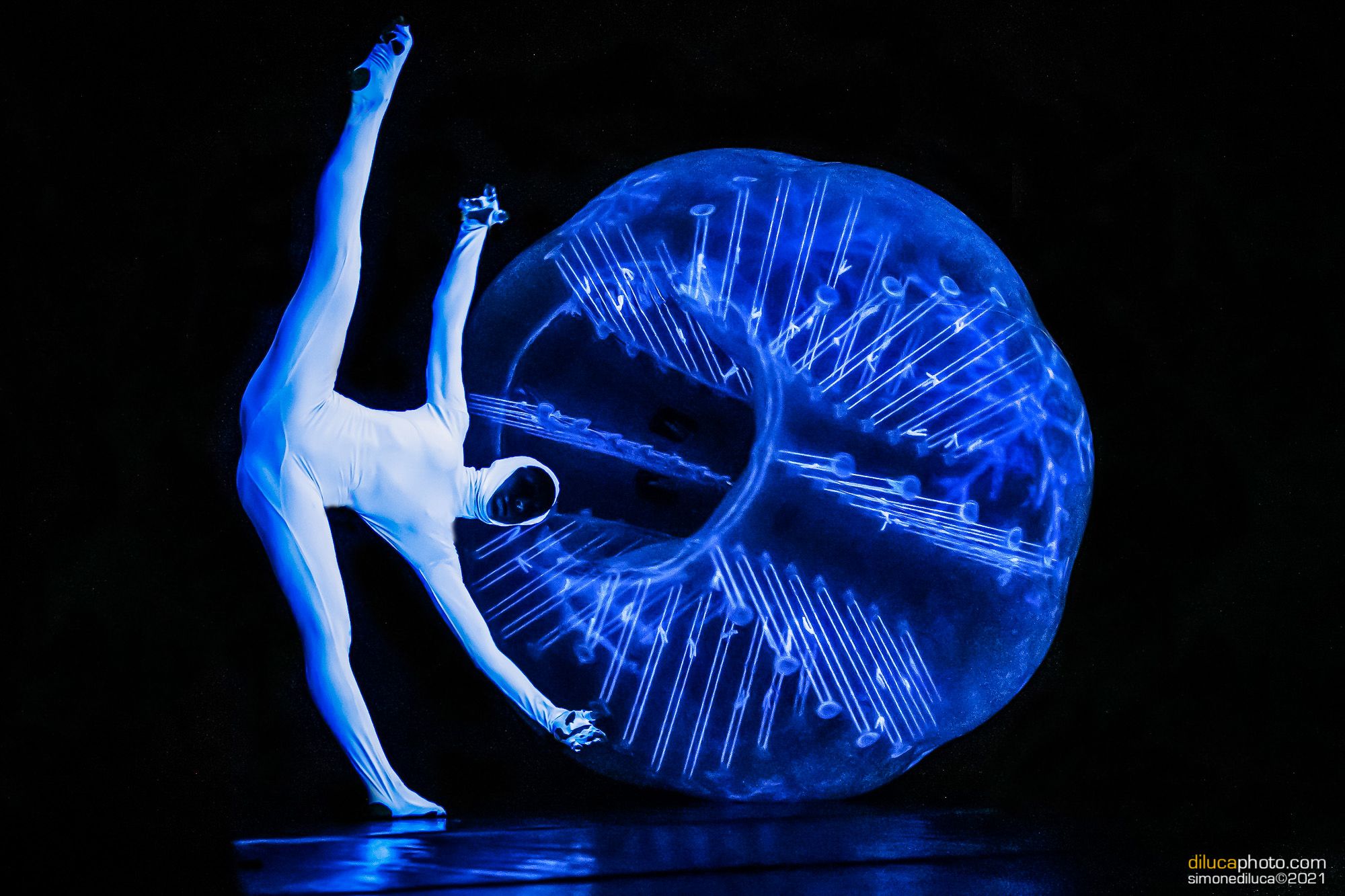 Festival d’Autunno, a Catanzaro le visioni suggestive di “Blu infinito”