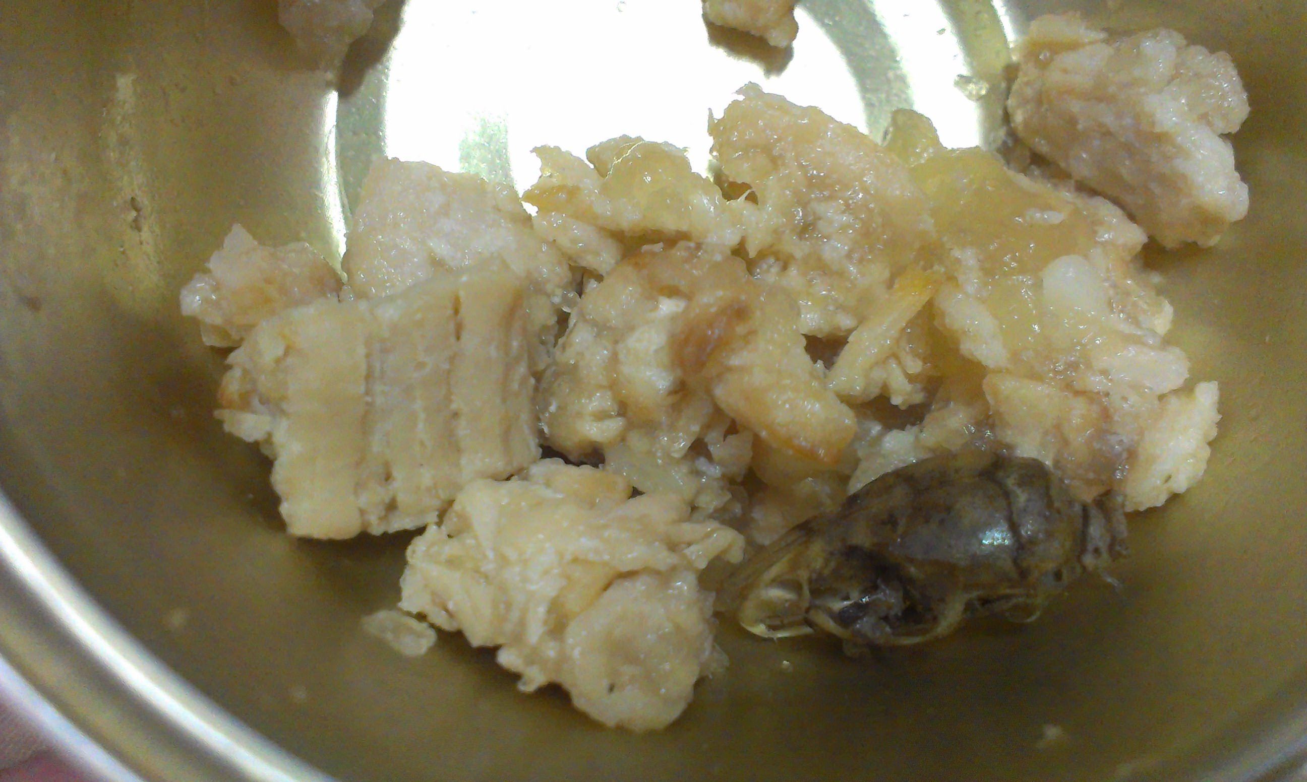 Testa di topo nel pollo in scatola, avviata un'inchiesta