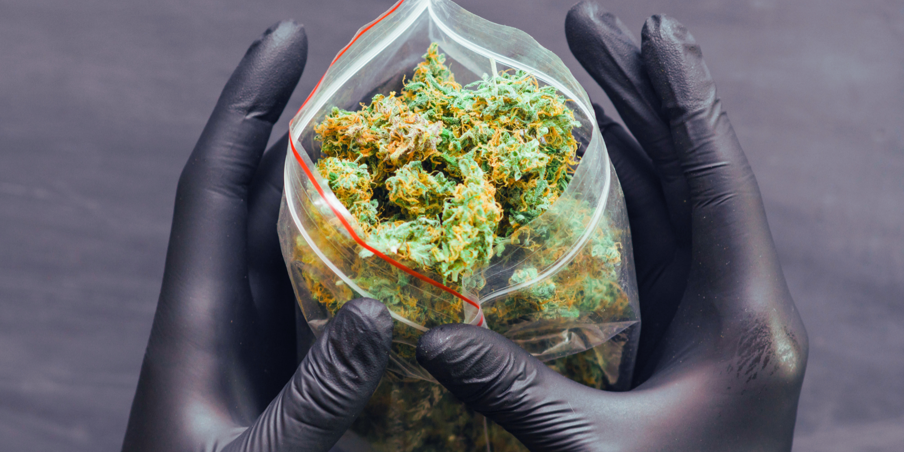 ‘Ndrangheta, l’ex comandante dei carabinieri nel giro della droga: il viaggio a Rosarno e la marijuana al centro commerciale