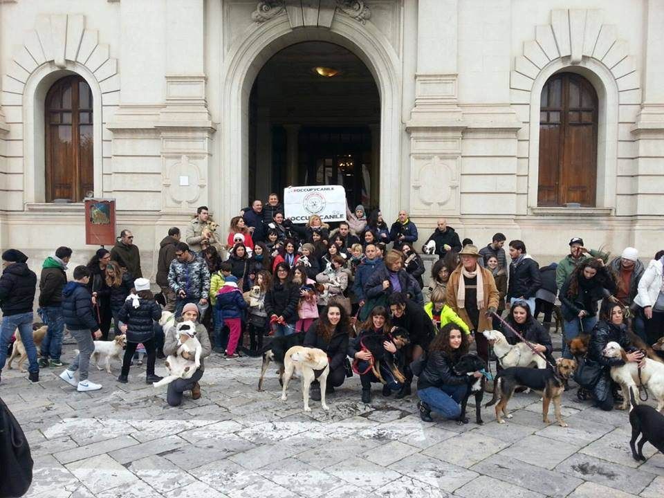 A Reggio sfilano i cani adottati