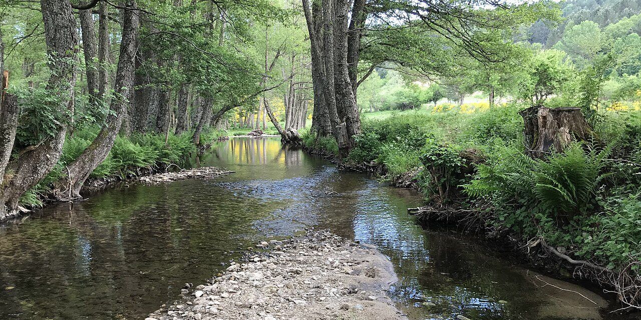 «Istituire la Riserva naturale del Fiume Neto, tutelando un patrimonio ambientale che attraversa la Calabria»