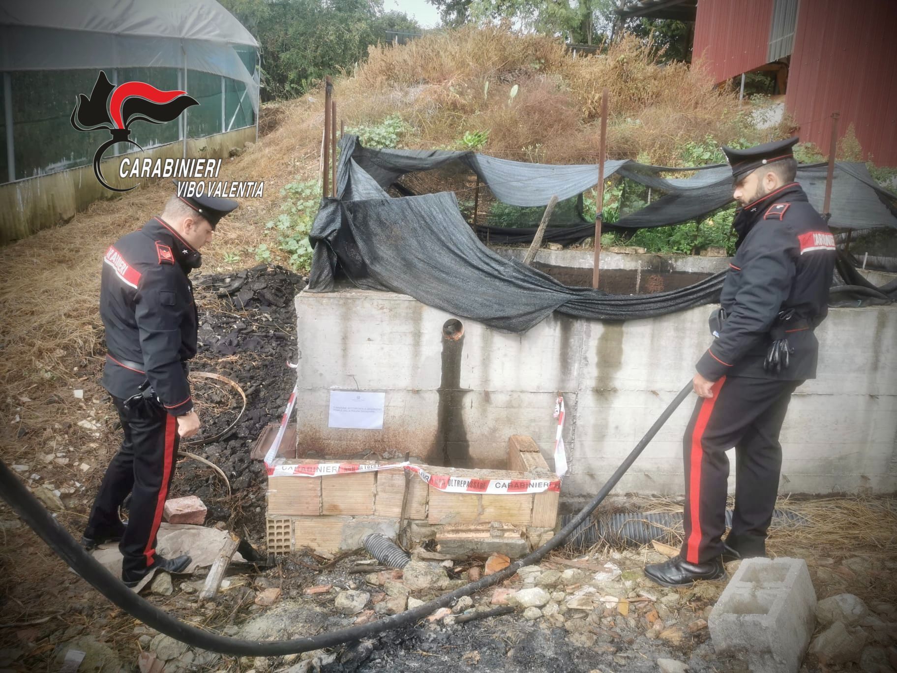 Vibo, controlli dei carabinieri nel settore oleario: 2 persone denunciate