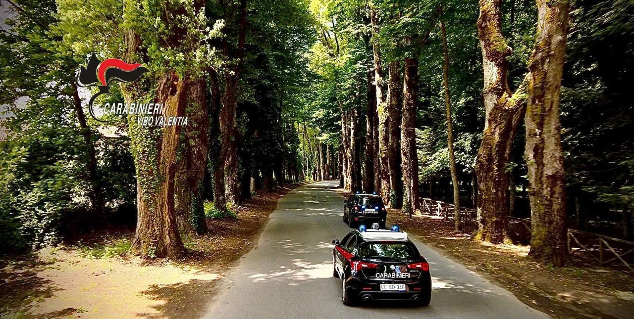 Uomo aggredito con un’accetta nel Vibonese: un arresto per tentato omicidio