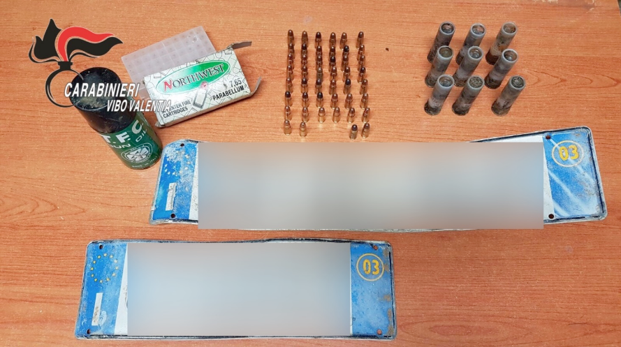 Proiettili e targhe rubate trovati nelle campagne del Vibonese
