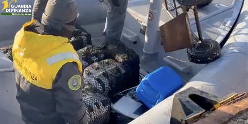 L’assalto dei clan ai porti e il virus della corruzione: Gioia Tauro «varco primario per i cartelli sudamericani»