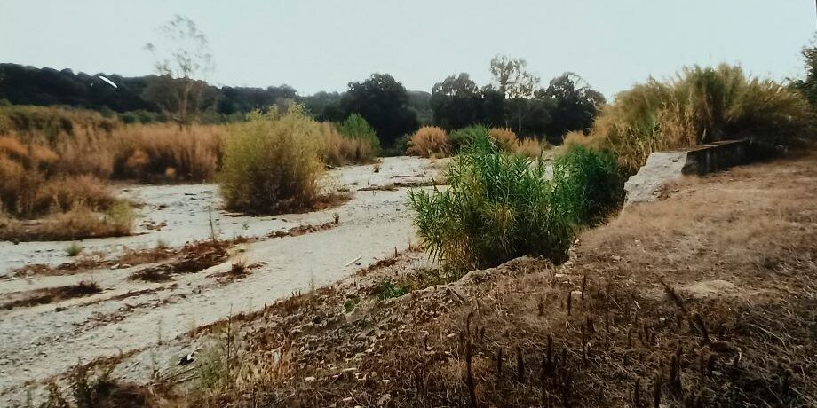 Fiume Marro, l’interrogazione di Anastasi. «Servono interventi per evitare ingenti danni ambientali»