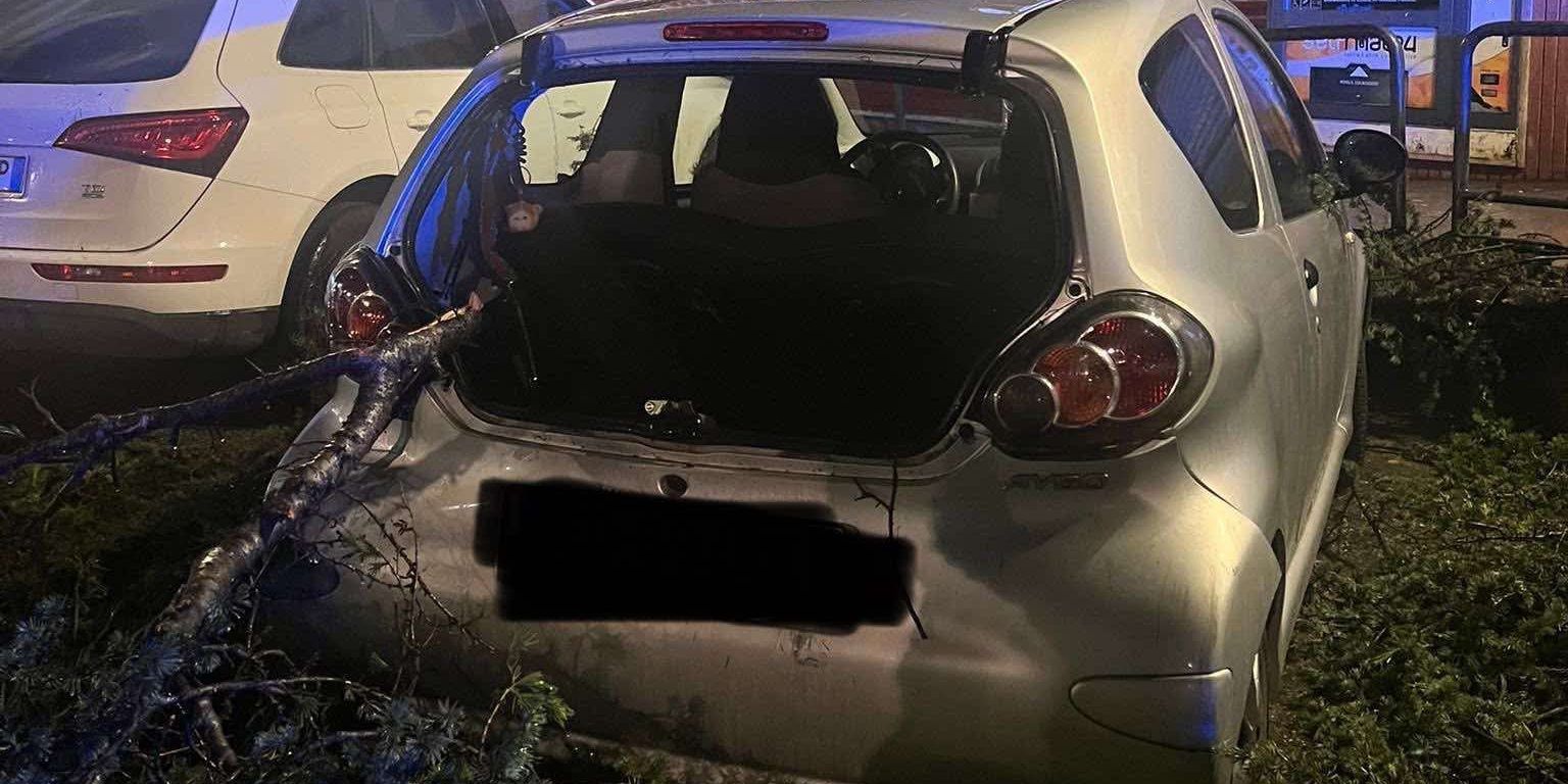 Maltempo, notte di vento e pioggia: alberi sradicati e disagi nel Cosentino