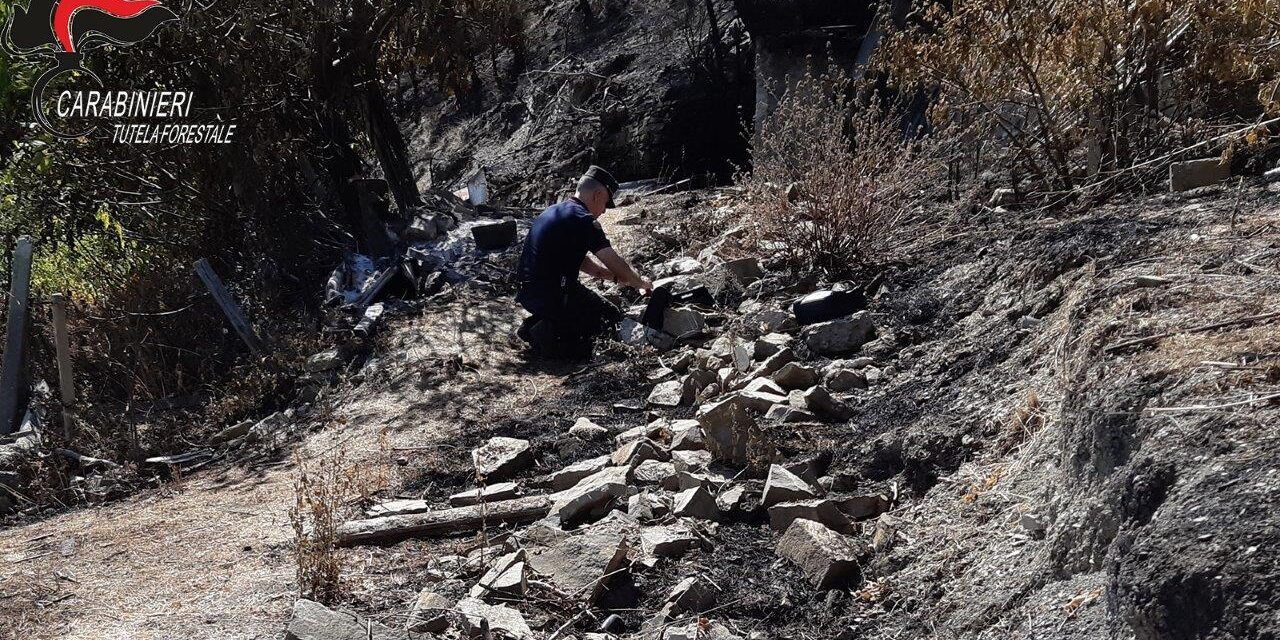 Incendi ad Albidona, individuato il piromane
