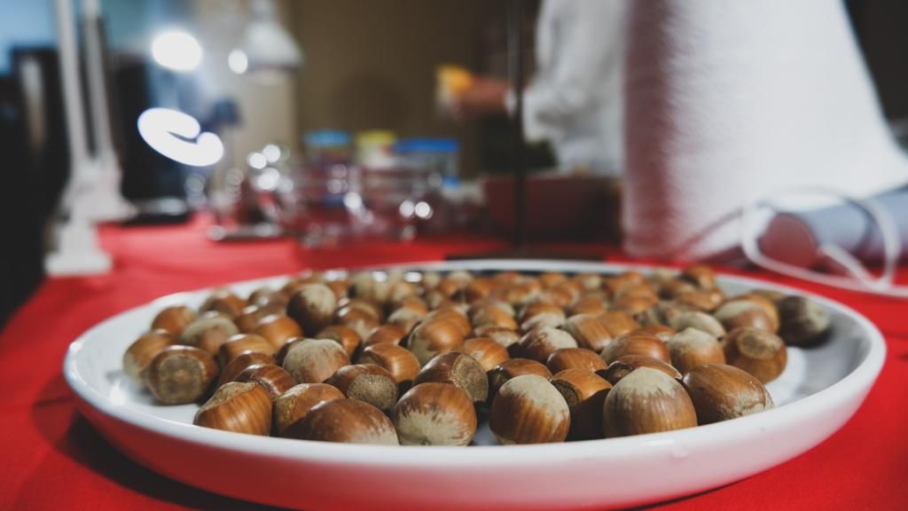 Nocciola Tonda di Calabria, presentati a Chieti i risultati della ricerca del comune di Cardinale