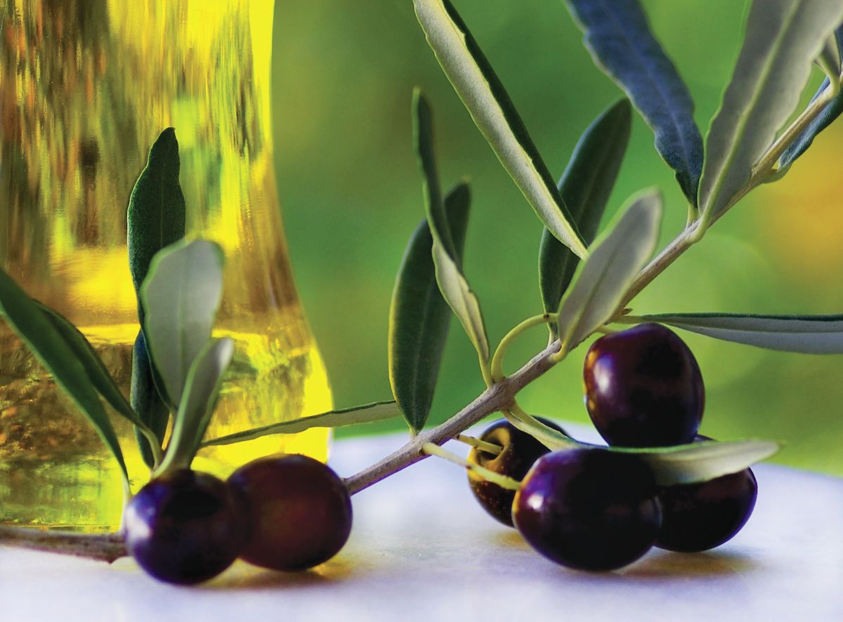 Olio, prorogata la scadenza per le candidature al bando Pnrr sui frantoi