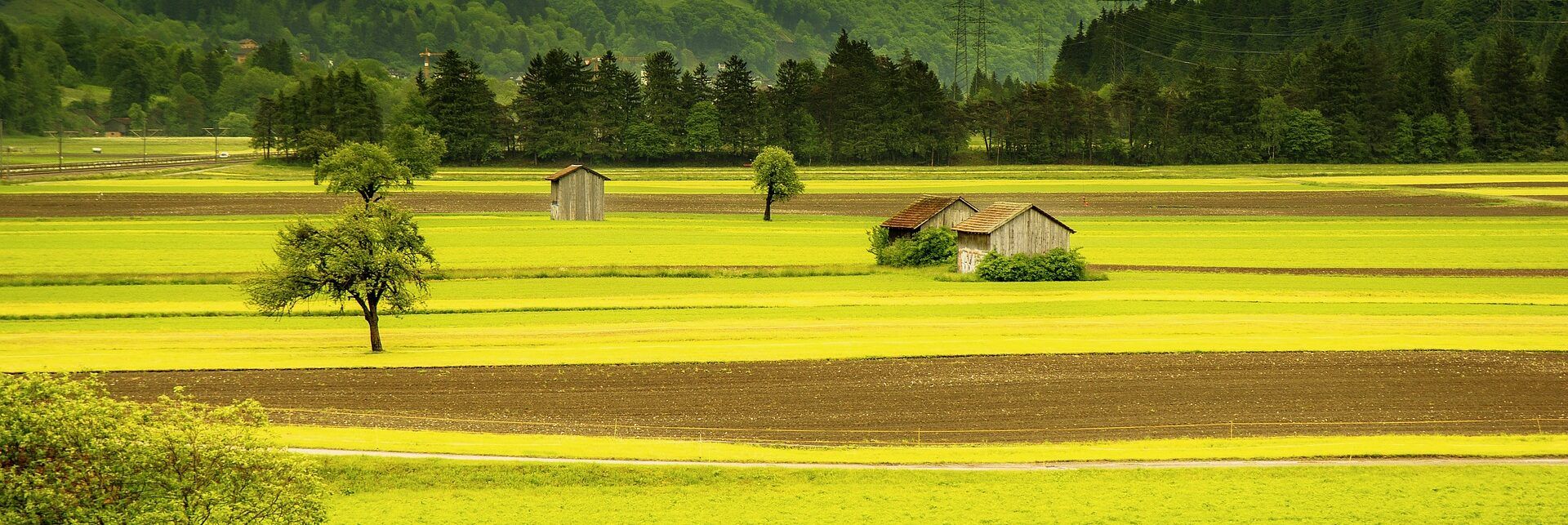 “Green Deal”, Confagricoltura alla Ue: «Più risorse per il settore»