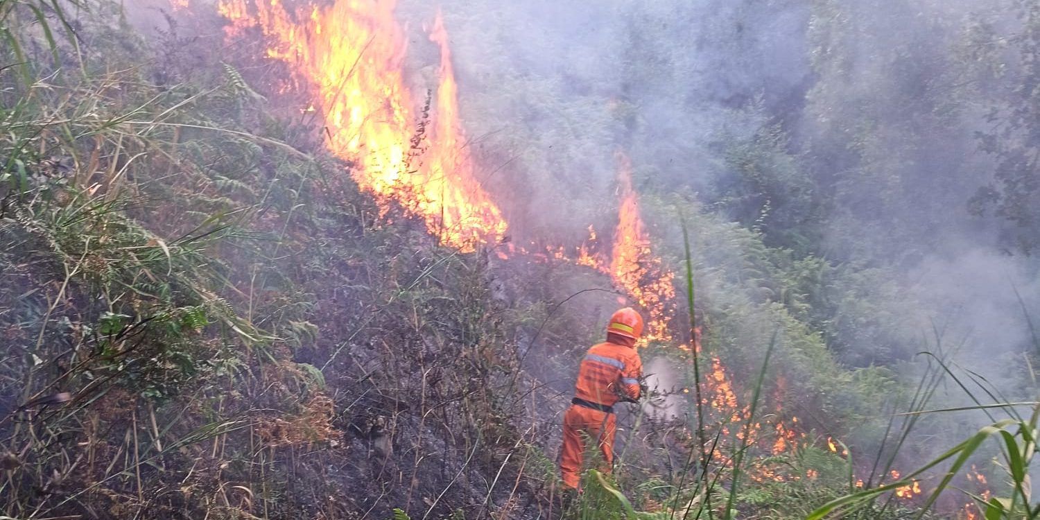 Vasto incendio di vegetazione in località Castaneto, nel comune di Tiriolo – FOTO