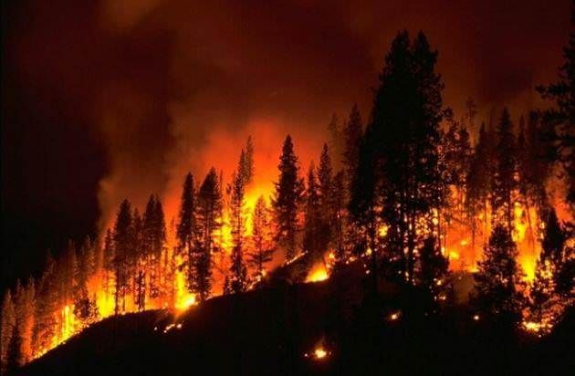 Parco del Pollino, 535 ettari andati in fiamme nel 2019