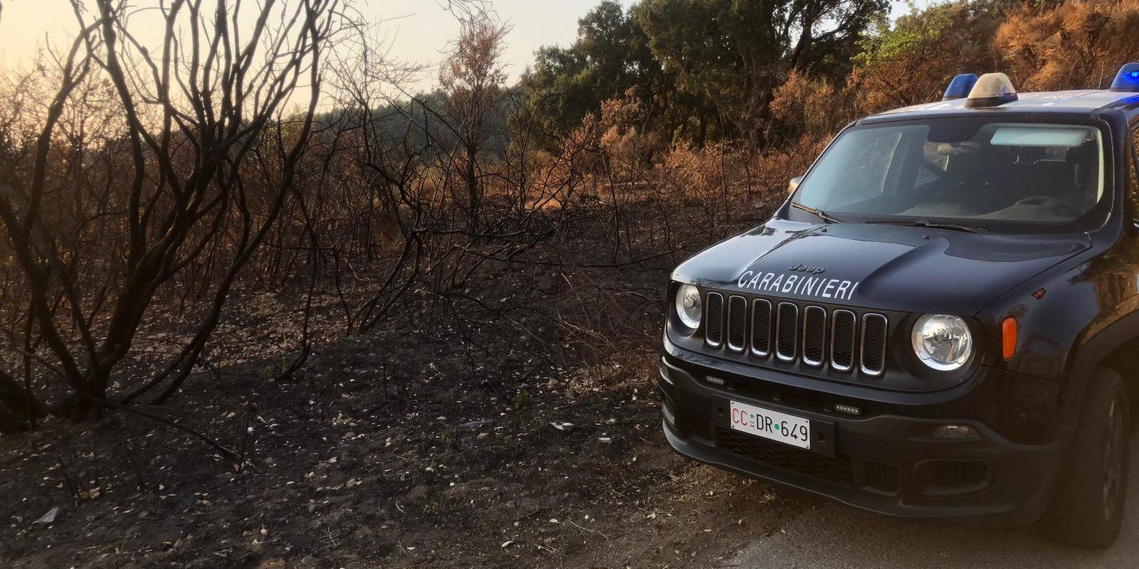 Incendio nel Catanzarese, arrestato un ottantenne: distrutti 37mila metri quadri di bosco
